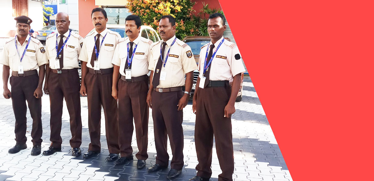 Silver Shield Pioneer Security Solution